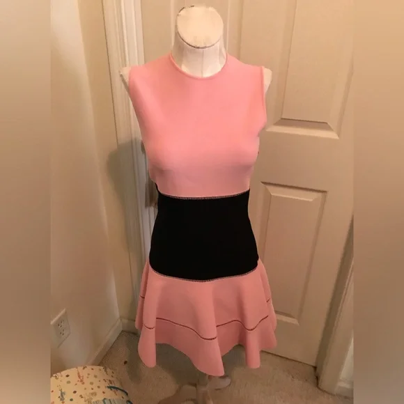 Alexander McQueen | Dresses | Alexander Mcqueen Size M Dress Pinkblack  Yummy 96 | Poshmark